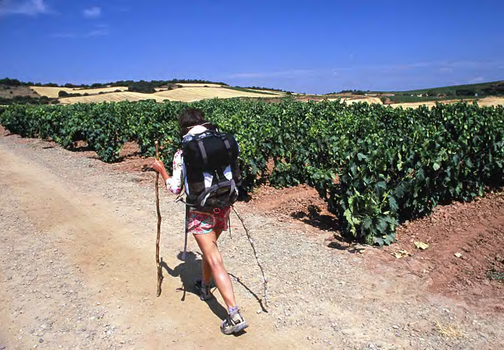santiagocamino.jpg